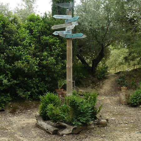 Casa Rural Torre De Campos Ainzon Esterno foto